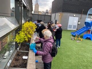 Rooftop Garden Club